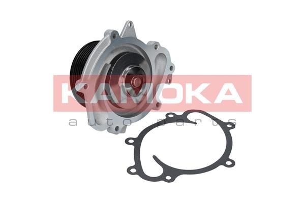 KAMOKA T0191 Water pump for v-ribbed belt use