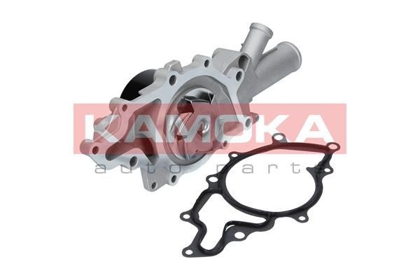 Mercedes-Benz W169 Belts, chains, rollers parts - Water pump KAMOKA T0193