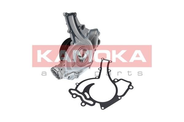 Great value for money - KAMOKA Water pump T0195