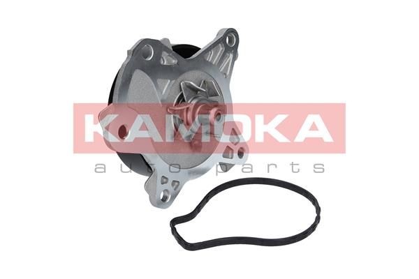 KAMOKA T0262 Water pump with gaskets/seals, for v-ribbed belt use