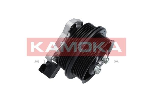 KAMOKA T0278 Water pump Grey Cast Iron, with seal, Plastic