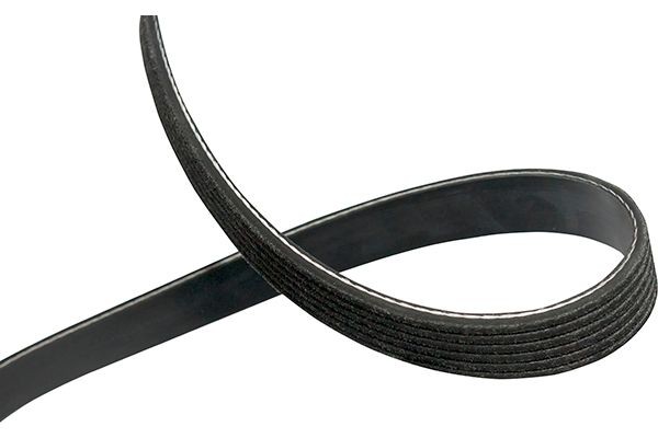 Ford FOCUS Ribbed belt 12874332 KAVO PARTS DMV-7504 online buy