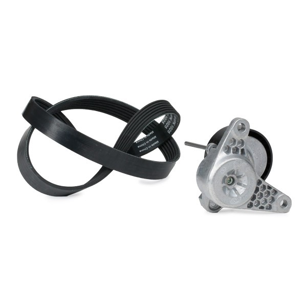 INA 529016710 V-Ribbed Belt Set Check alternator freewheel clutch & replace if necessary