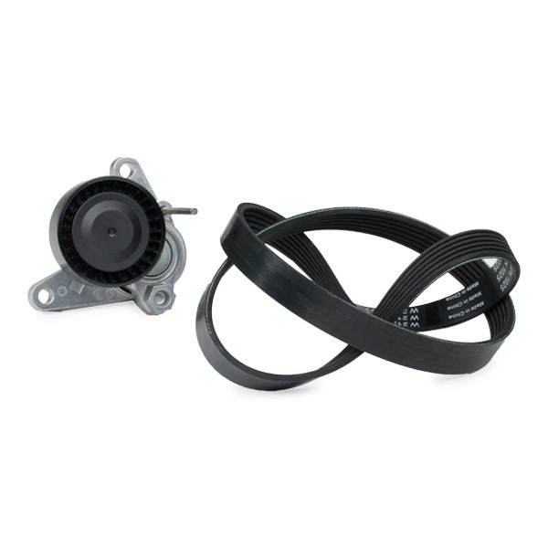 529016710 Serpentine belt kit 529 0167 10 INA Check alternator freewheel clutch & replace if necessary