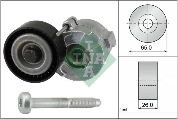 INA 534061010 Tensioner pulley 95511411