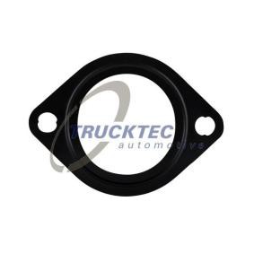 TRUCKTEC AUTOMOTIVE Gasket, water pump 03.19.206 buy