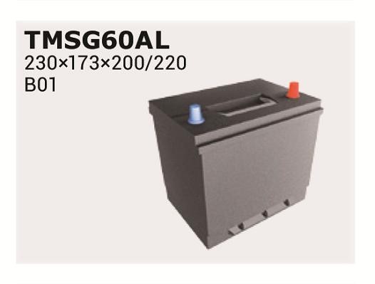 TMSG60AL IPSA Batterie MITSUBISHI Canter (FE3, FE4) 5.Generation