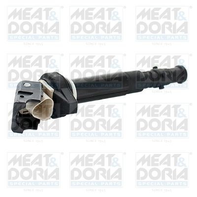 Original 10796 MEAT & DORIA Ignition coil experience and price