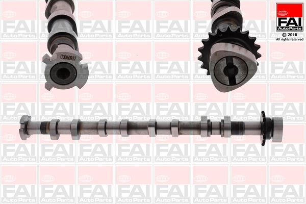 FAI AutoParts C379 Camshaft AUDI experience and price