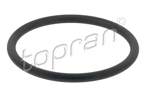 Original 113 883 TOPRAN Holder, air filter housing experience and price