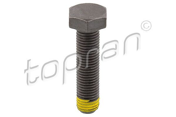 TOPRAN 502 756 Flywheel bolt order