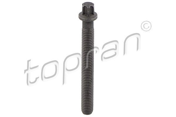 TOPRAN 503 132 Pulley bolt BMW X5 2014 in original quality