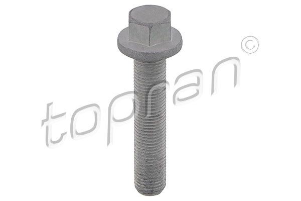 BMW Pulley Bolt TOPRAN 503 133 at a good price