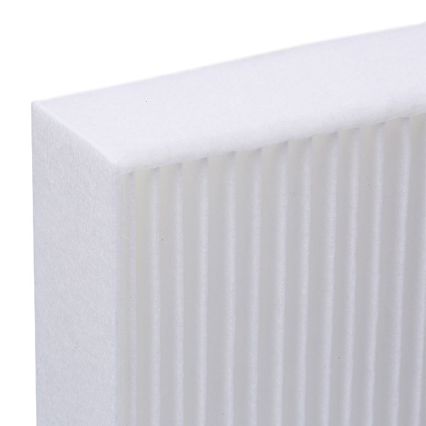 AUTOMEGA 210021310 Air conditioner filter Particulate Filter, 253 mm x 235 mm x 30 mm