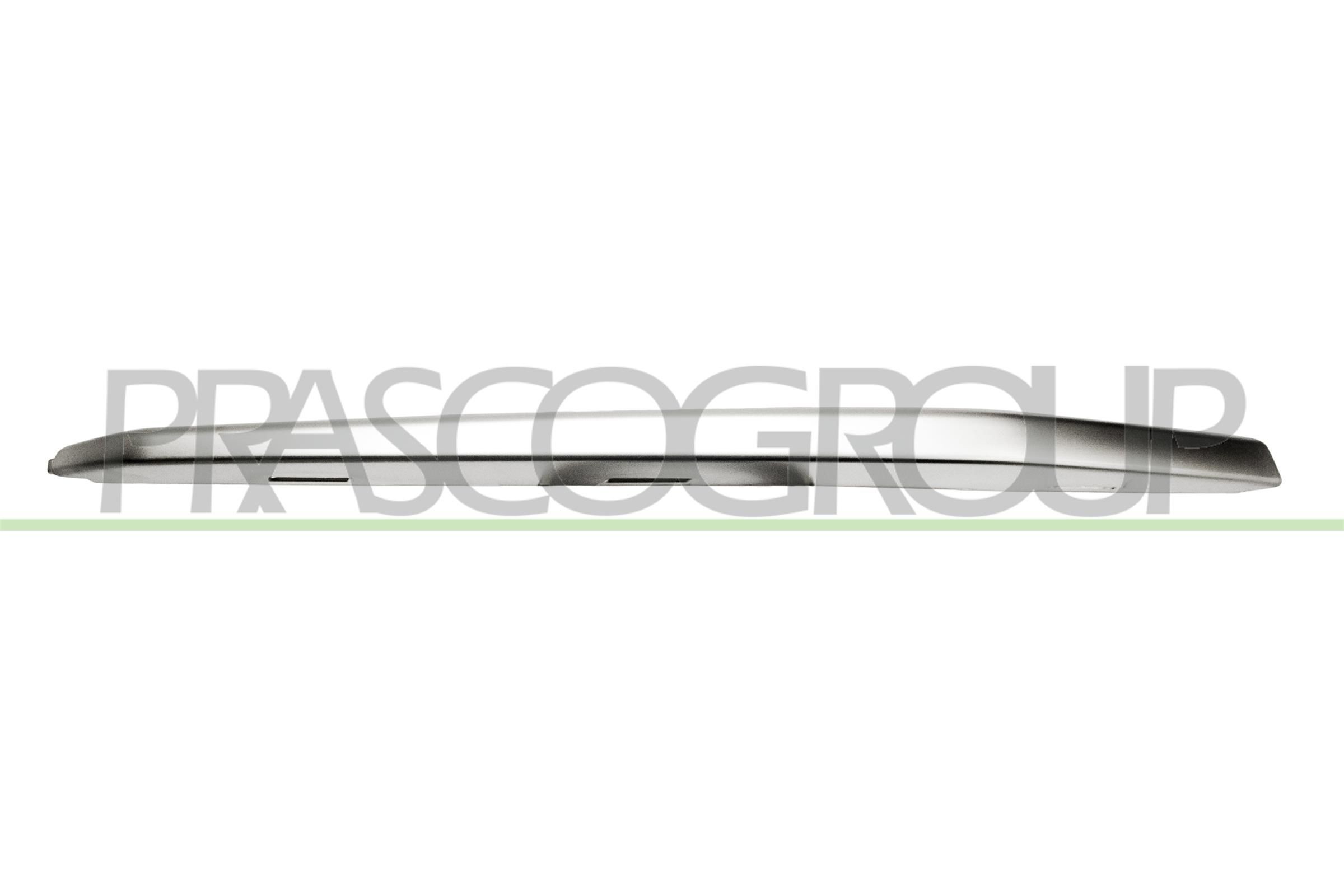 PRASCO Trim / Protective Strip, radiator grille BM0311223 BMW 3 Series 2015
