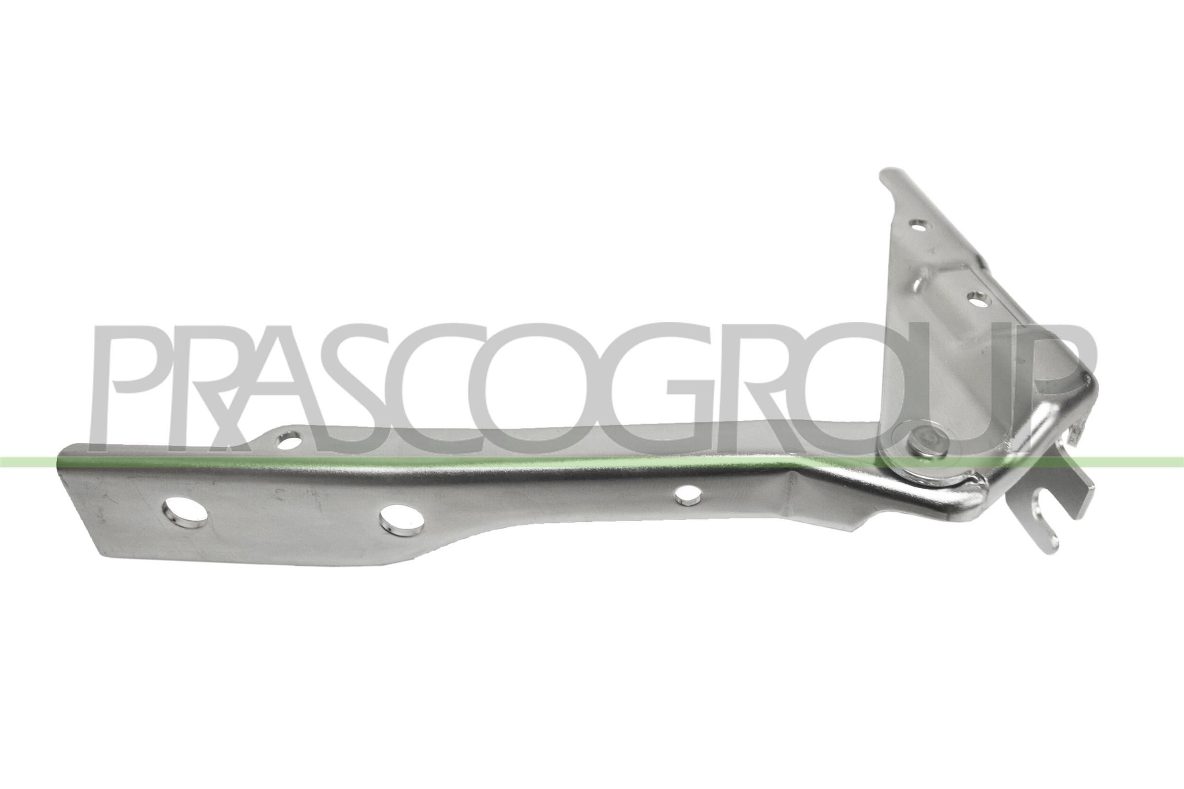 Hood and parts PRASCO Right - VG0233703
