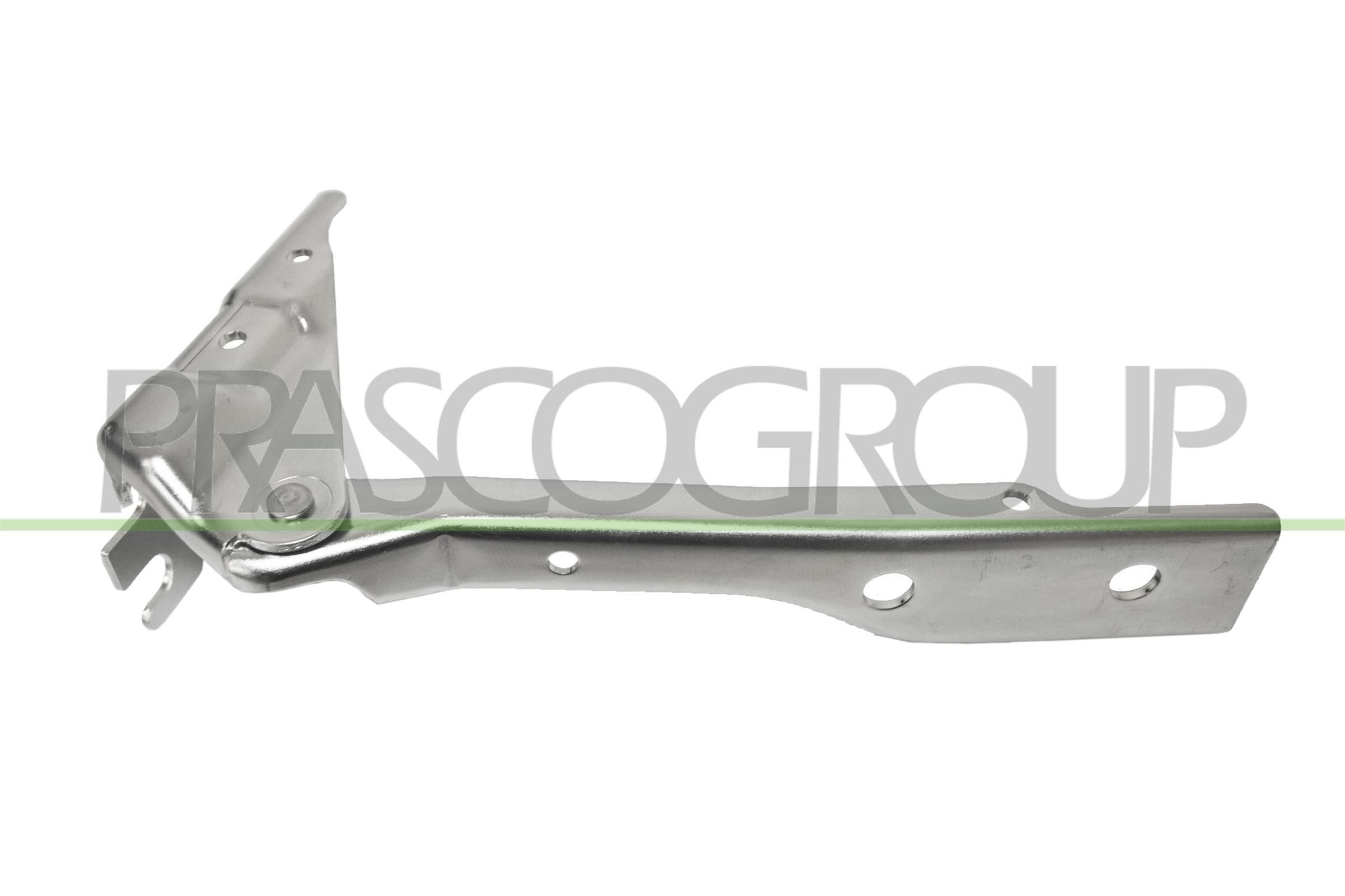 Hood and parts PRASCO Left - VG0233704