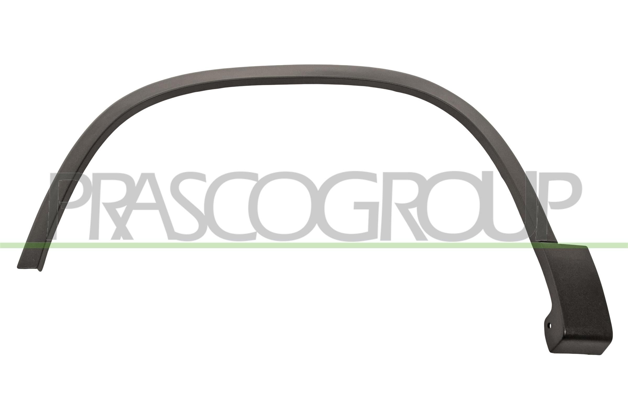 PRASCO VG8091582 Trim / Protective Strip, mudguard Left Front
