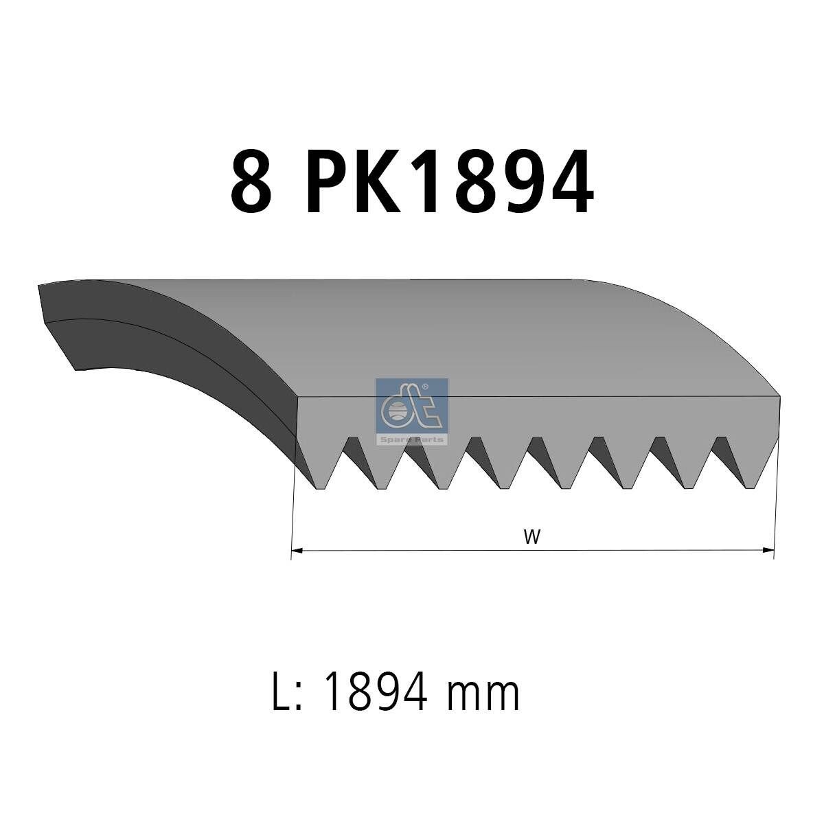 DT Spare Parts 1894mm, 8 Number of ribs: 8, Length: 1894mm Alternator belt 5.41591 buy
