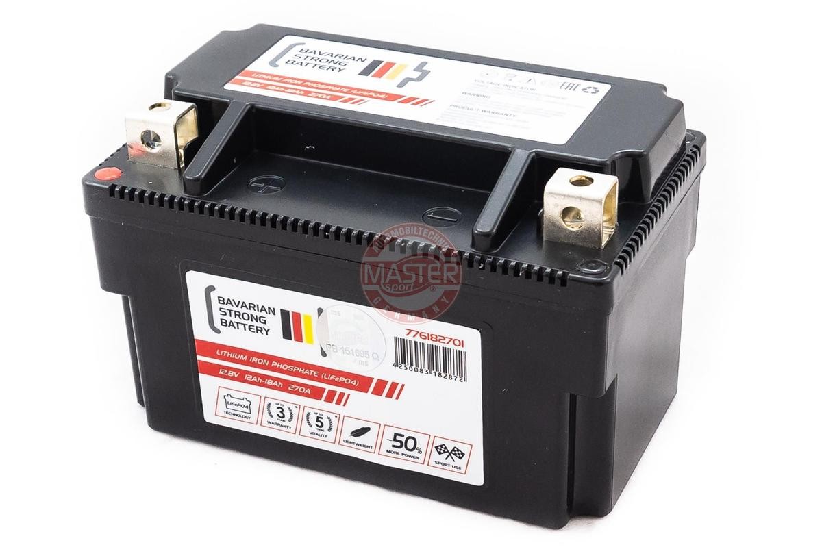 TRIUMPH TIGER Batterie 12V 18Ah Bleiakkumulator MASTER-SPORT 776182701