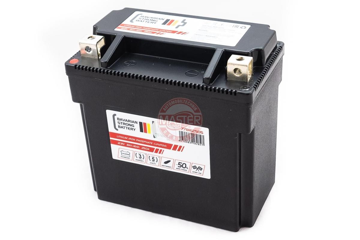 TRIUMPH SPEED Batterie 12V 16Ah Bleiakkumulator MASTER-SPORT 778162505