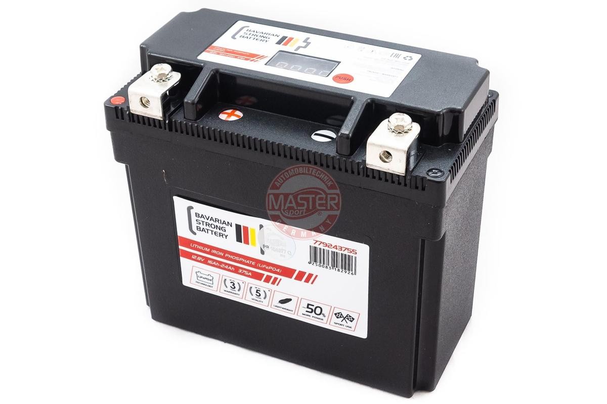 MASTER-SPORT 779243755 Battery 12V 24Ah LFP Battery (LiFePO4), Lead-acid battery