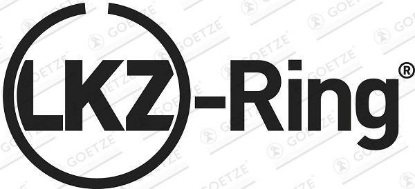 0842930610 Piston Ring Kit Goetze Diamond Coated® LKZ-Ring® GOETZE ENGINE 08-429306-10 review and test
