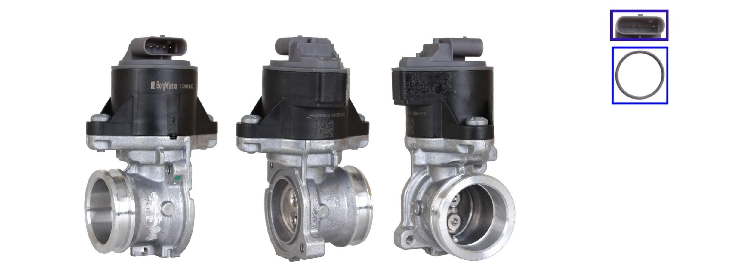 Exhaust recirculation valve DRI Electric, with gaskets/seals - 717730349