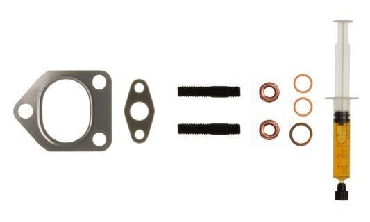 920333 ALANKO with gaskets/seals, with studs, with nut, with mounting manual Mounting Kit, charger 10920333 buy