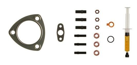 Mounting kit, charger ALANKO with gaskets/seals, with studs, with nut, with mounting manual - 10920733