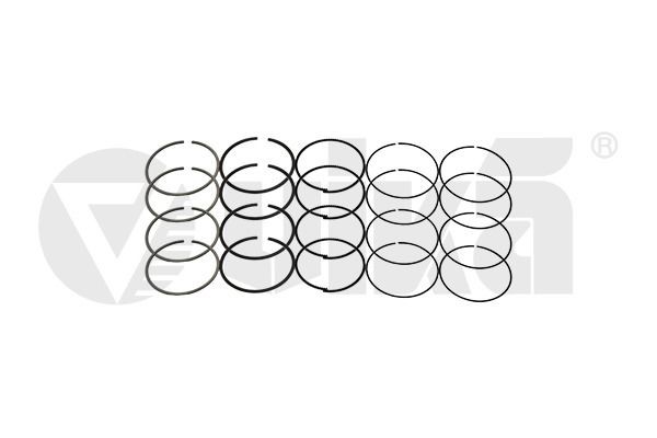 VIKA Piston Ring Set 11981543001 buy