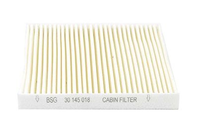 30145018 BSG BSG30-145-018 Pollen filter 8C16 16N619 A1A