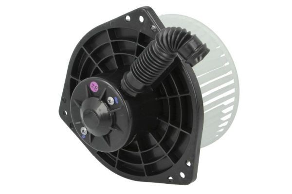 THERMOTEC for vehicles with air conditioning, with cable set Voltage: 12V Blower motor DDB010TT buy