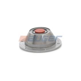 AUGER 173,5mm, 58mm Wheel bearing dust cap 53748 buy