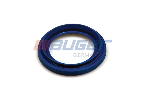 AUGER Seal Ring, stub axle 54887 buy