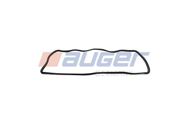 AUGER Seal, windscreen 74879 buy