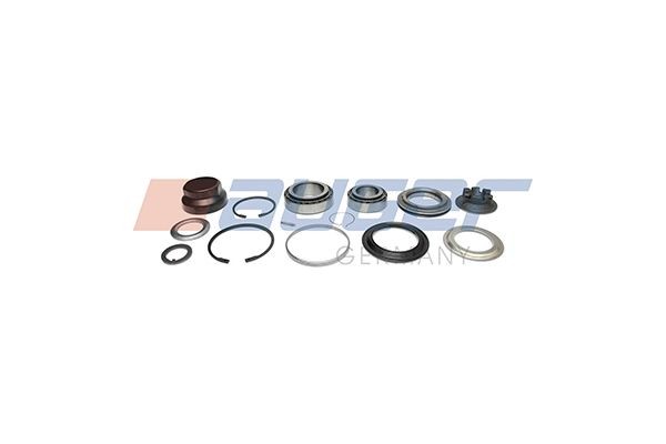 AUGER Repair Kit, wheel hub 77431 buy