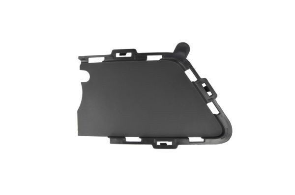 BLIC Fitting Position: Right Front Ventilation grille, bumper 6502-07-0063914PM buy