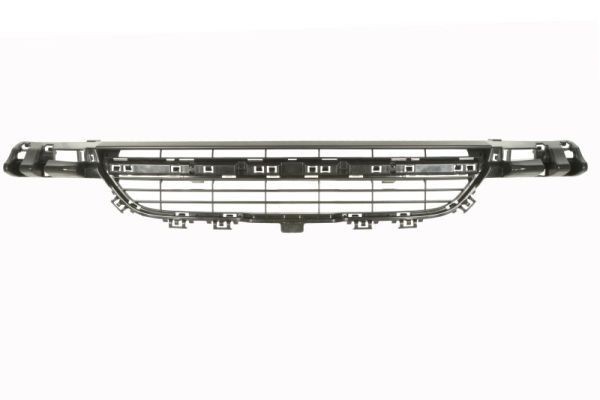 BMW Bumper grill BLIC 6502-07-0086919P at a good price