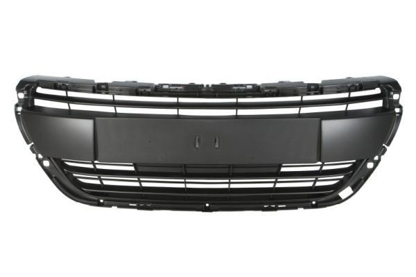 Original 6502-07-5509992P BLIC Front grill experience and price