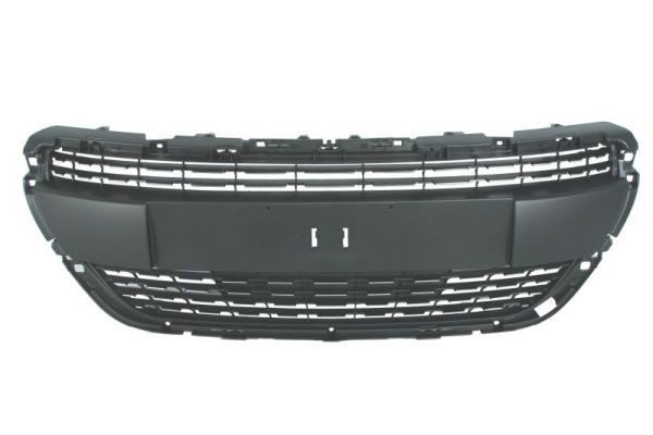 Peugeot Radiator Grille BLIC 6502-07-5509992PP at a good price