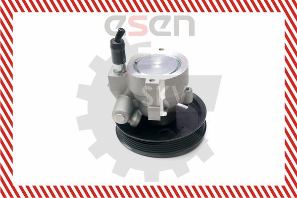 ESEN SKV Hydraulic pump steering system RENAULT CLIO II (BB0/1/2_, CB0/1/2_) new 10SKV207