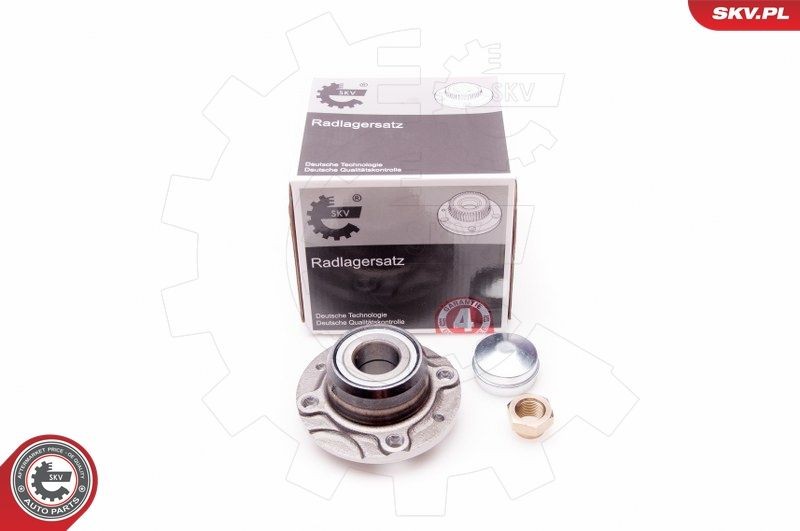 ESEN SKV Rear, 117 mm Inner Diameter: 30mm Wheel hub bearing 29SKV022 buy