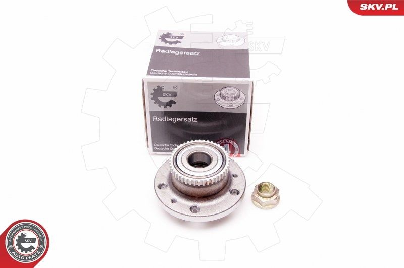 ESEN SKV Rear, 133 mm Inner Diameter: 30mm Wheel hub bearing 29SKV160 buy