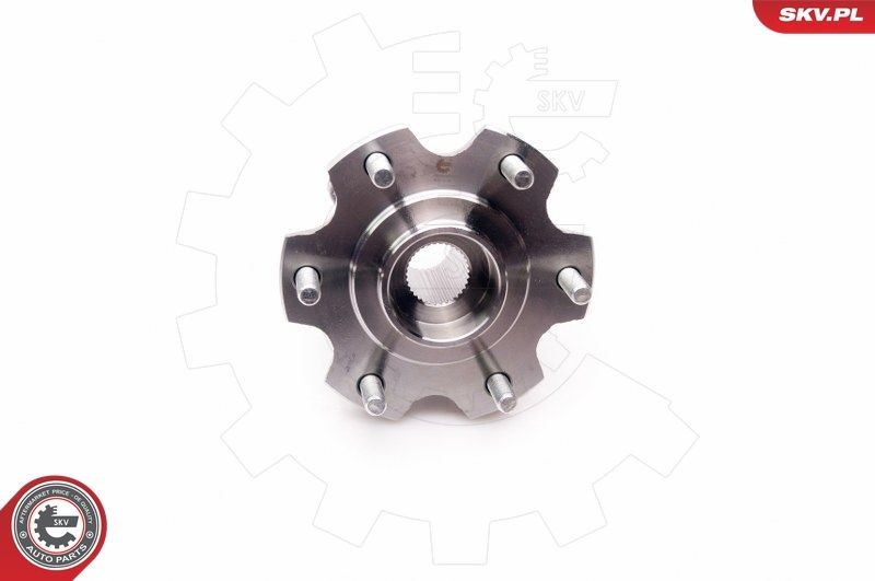 ESEN SKV 29SKV161 Wheel bearing & wheel bearing kit Rear, 169 mm