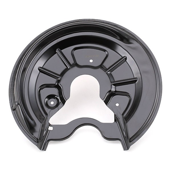 1330S0012 Rear Brake Disc Plate RIDEX 1330S0012 review and test