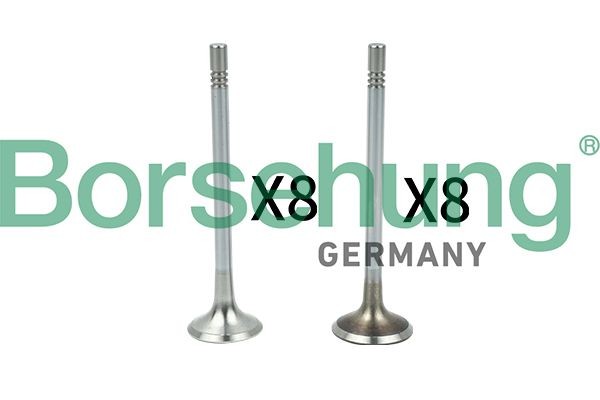 Borsehung B18629 Expansion valve VW Golf 6 Convertible