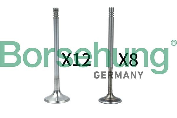 Borsehung Ac expansion valve Golf 4 new B18636