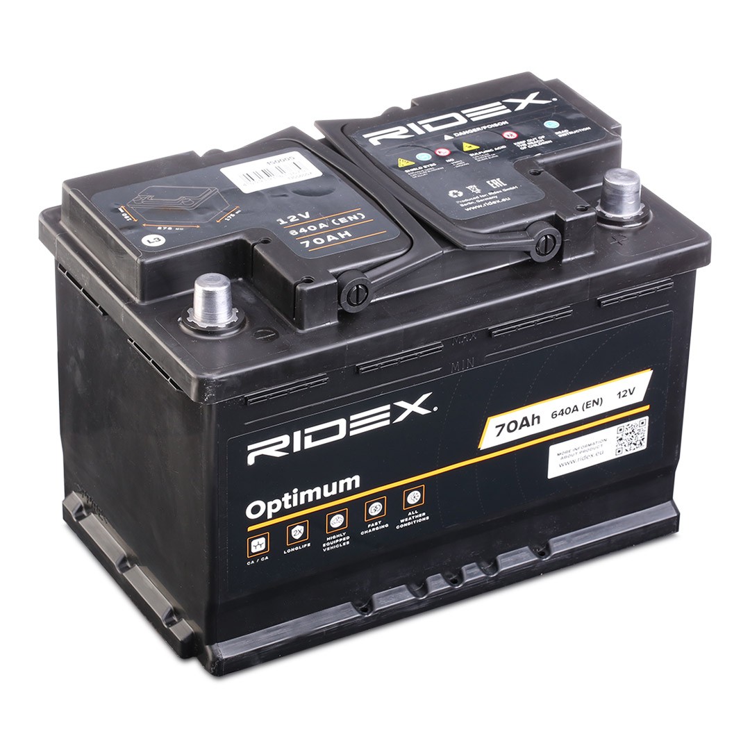 1S0005 RIDEX Batterie IVECO Zeta