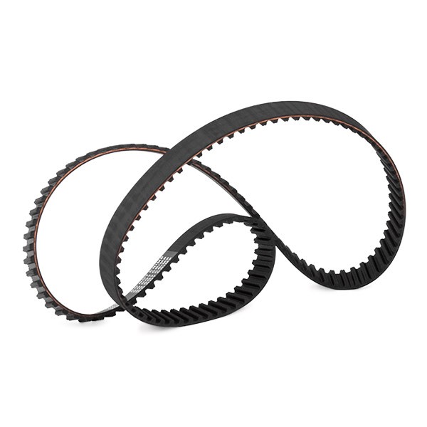 306T0078 Timing Belt RIDEX 306T0078 review and test